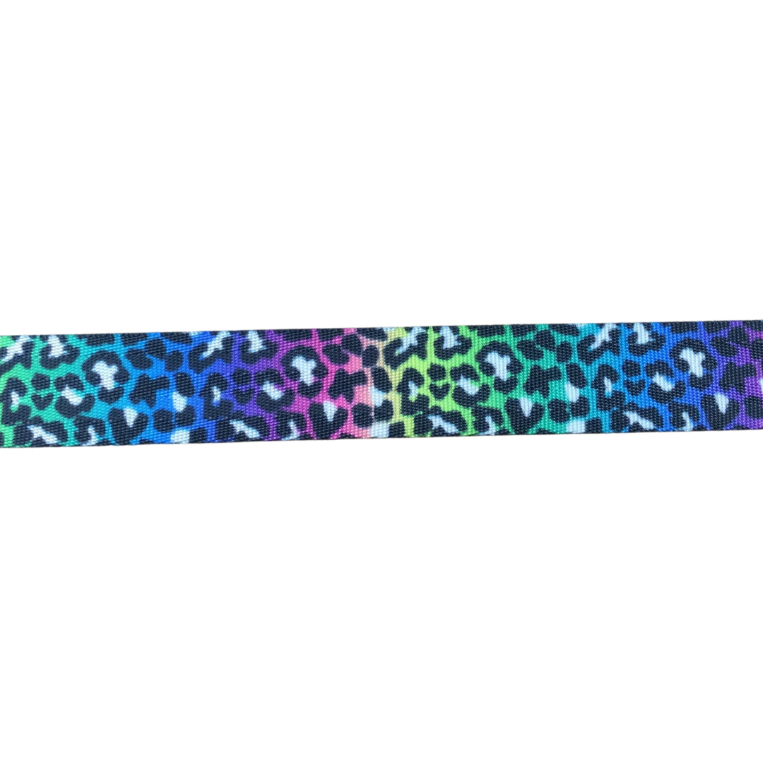 Rainbow Leopard Print Webbing 1 inch (25mm) polyester webbing
